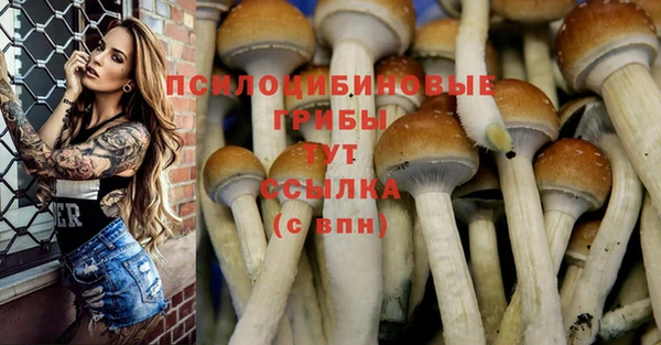 синтетический гашиш Абдулино