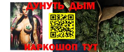 стаф Гудермес