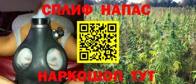 сатива Гуково