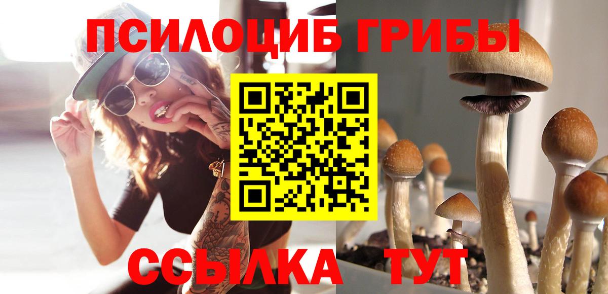 Псилоцибиновые грибы прущие грибы Дятьково