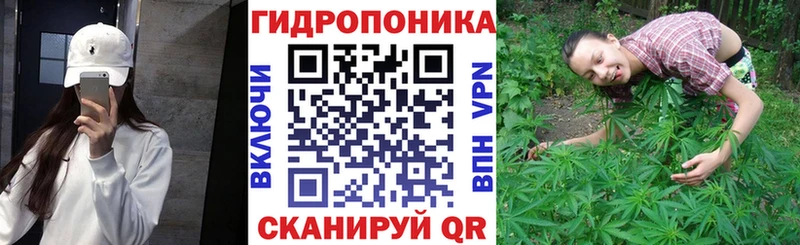 Канабис Amnesia Дятьково
